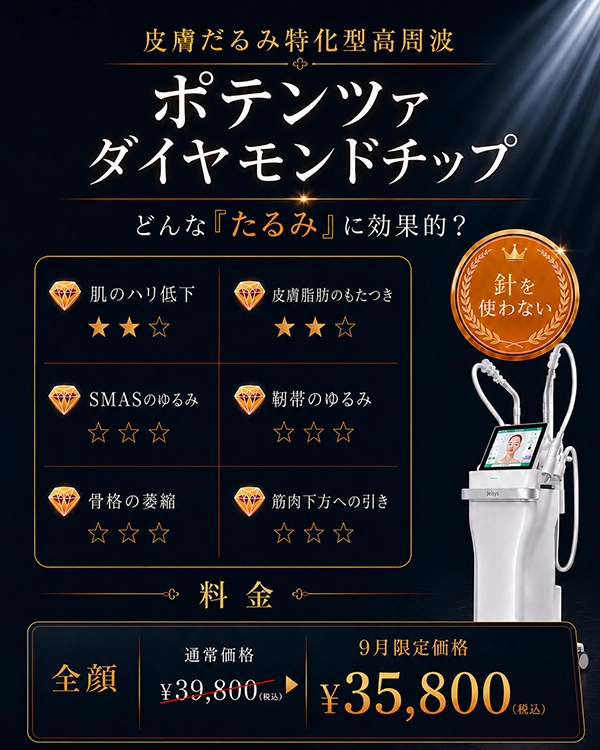 ポテンツァダイヤモンドチップ