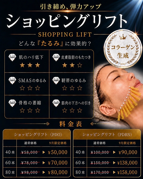 ショッピングリフト